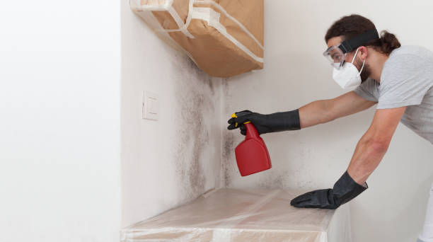 Professional Crawl Space Mold Remediation technician working in Morristown, NJ