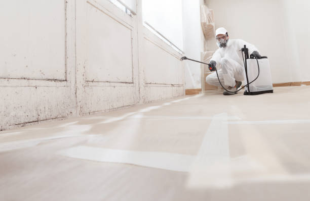 24/7 Emergency Crawl Space Mold Remediation experts in Morristown, NJ