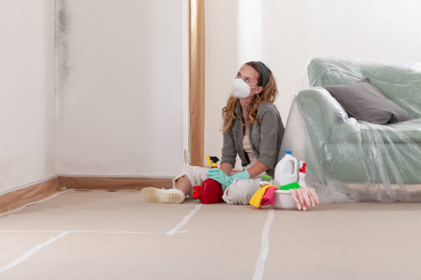 Reliable Crawl Space Mold Remediation contractor in Morristown, NJ by Mold Remediation HQ