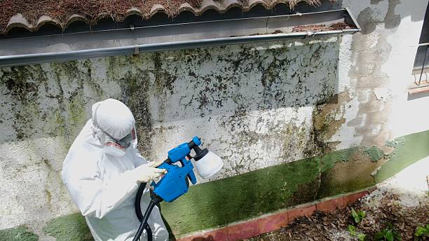 Top rated local Crawl Space Mold Remediation specialists in Morristown, NJ